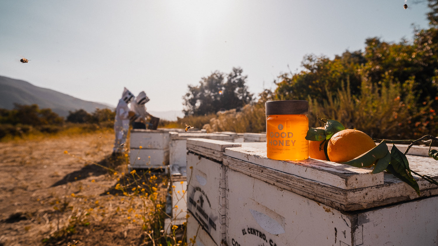 A jar of San Diego Citrus Honey with bees flying in the background 